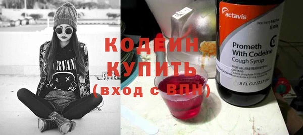 мдпв Елабуга