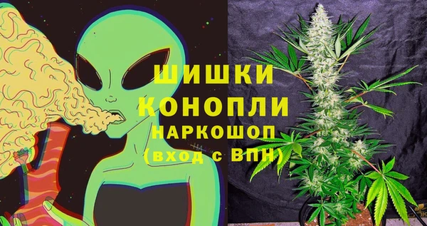 таблы Ельня