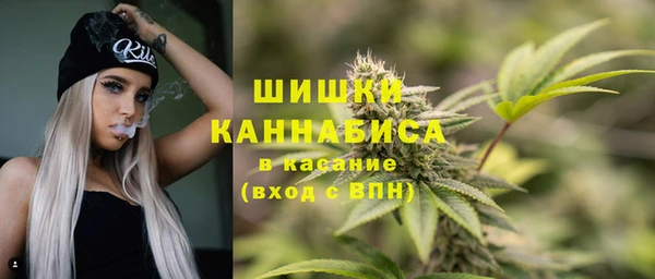 крисы Елизово