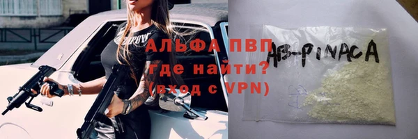 шишки Заволжье