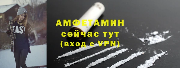 стаф Заводоуковск