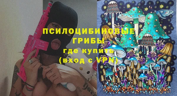 таблы Ельня