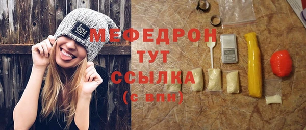 мдпв Елабуга