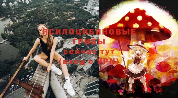 таблы Ельня