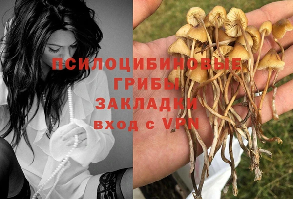 крисы Елизово