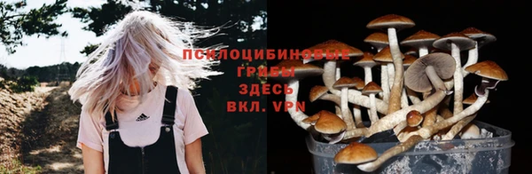 крисы Елизово