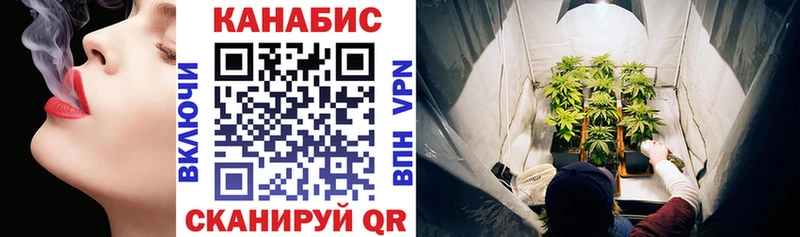 Купить  Красноуфимск  Конопля сатива 